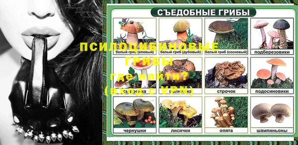 мдпв Армянск