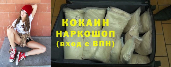 прущие грибы Арсеньев