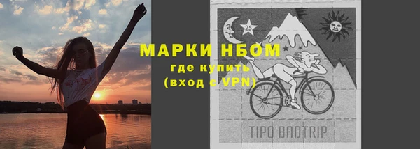 прущие грибы Арсеньев