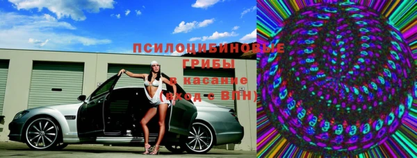 прущие грибы Арсеньев