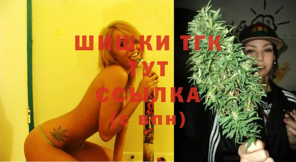прущие грибы Арсеньев
