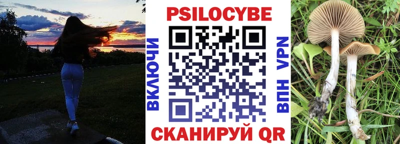 Псилоцибиновые грибы GOLDEN TEACHER  Купить закладки  Георгиевск 